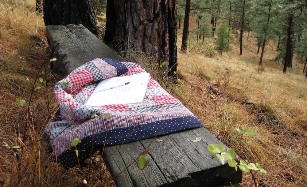 Written in the Woods