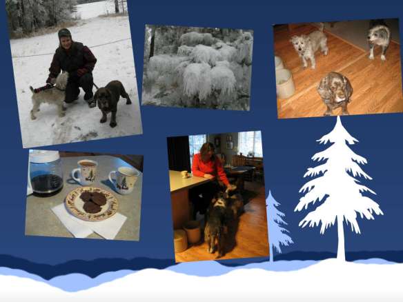 Blog collage Jan 2014