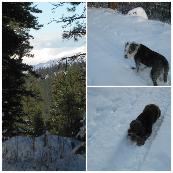 Snowshoe Collage