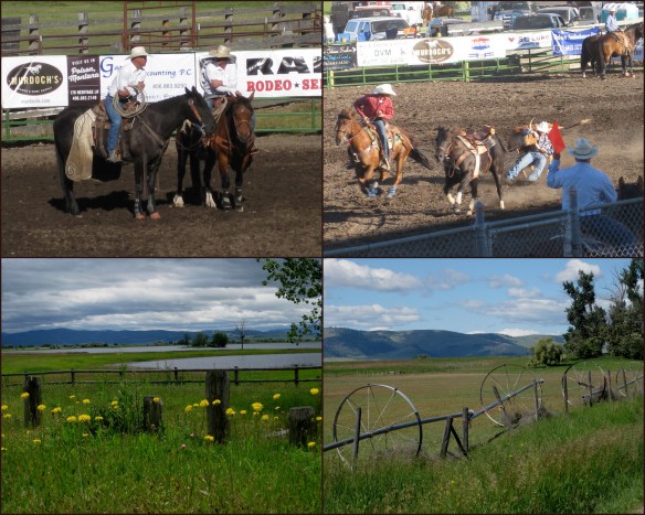 Rodeo.jpg