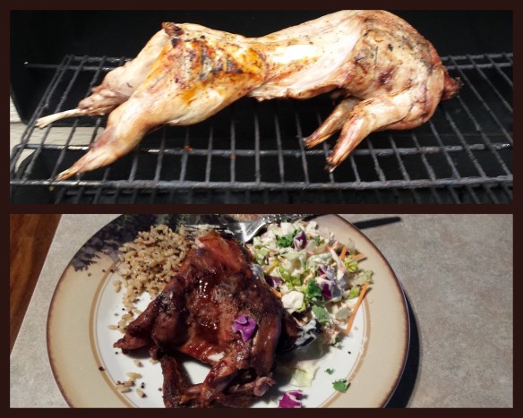 Rabbit dinner